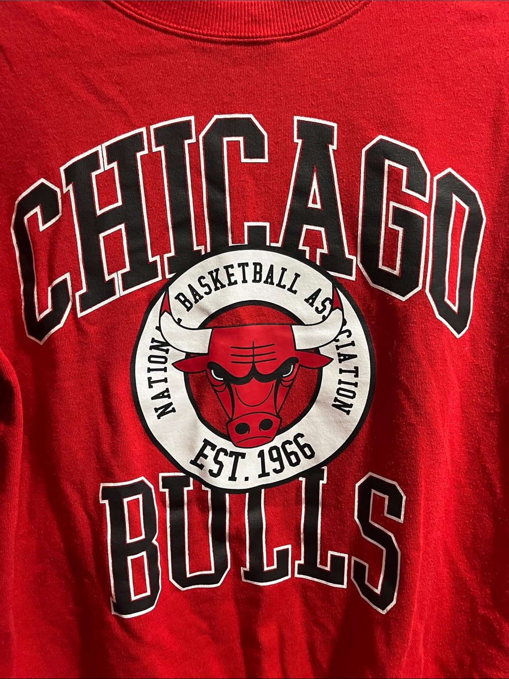 NBA CHICAGO BULLS CREW NECK SWEATER - Picture 3 of 6